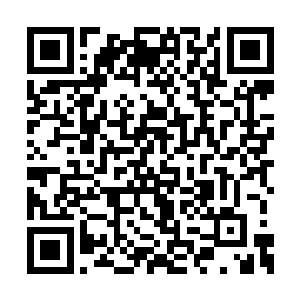 比他们平时修炼时汲取的天地灵气还要精纯庞大二维码生成