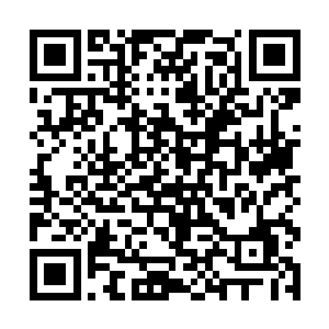 比侬脸上的血色一瞬间也同万大鹏一样褪得一干二净二维码生成