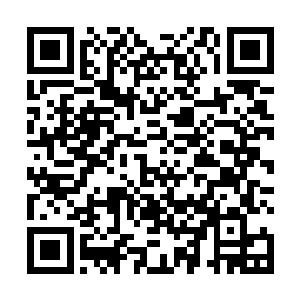 比克罗星之前的圣阶变异兽还要恐怖无数倍的无敌凶兽二维码生成