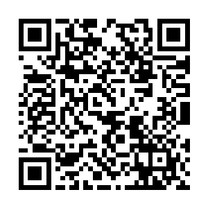 比刚才看到杨开和林韵儿屠戮同门的时候还要惊恐二维码生成