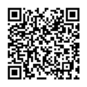 比如一块地方被星宿仙尊先炼化了当中的智道道痕二维码生成