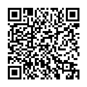比如一年之内拓扑集团和其招商引资进来的企业达到多少家二维码生成