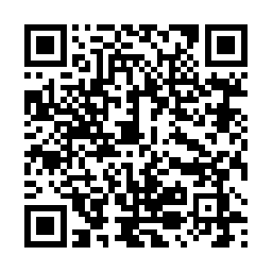 比如主上把安德丽娜赐婚给齐山的左膀右臂邹宁的传言二维码生成