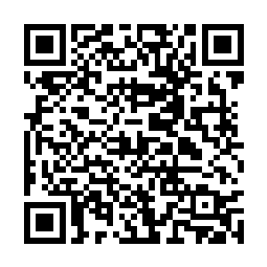 比如人之堂的很多小师弟小师妹对林铭狂热的支持二维码生成