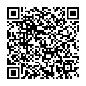 比如他到现在为止修炼了两千年也才见过一次神虚境界修为的修士二维码生成