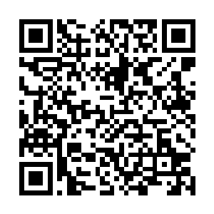 比如他早就以秘法看出华夏九真元修为真的只有出窍境二维码生成