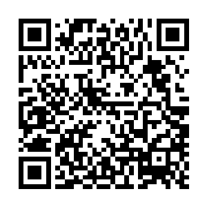 比如他甚至有一次把夹竹桃花当成染指甲的凤仙花摘回家来二维码生成