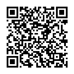 比如你这次获得的那个外星人用来采集资源的蚂蚁二维码生成