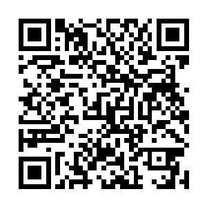 比如农家大儒的家国天下必然会在此间天地中孕育生灵二维码生成