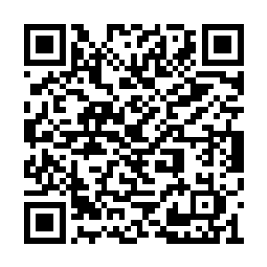 比如刚才直接将这符宝收服就不是自己能做到的二维码生成
