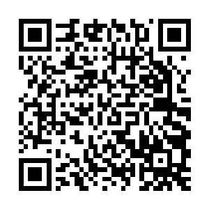 比如北方的候鸟议会――当初的万物之母可是救了因海姆的性命二维码生成