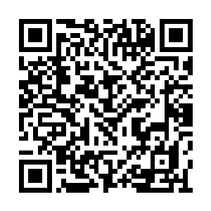 比如受害者家属的愤怒和偏激是否应该纵容……二维码生成