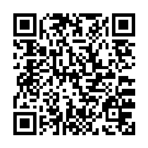 比如妲己那货……此前她已经被弃天帝给彻底镇住了二维码生成