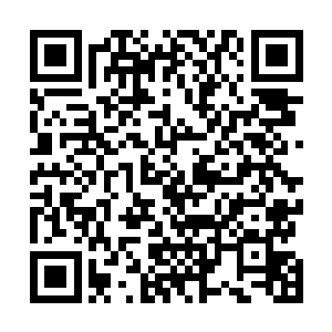 比如影片开头洛克斯和维尔玛两个主角之间的事件的展开二维码生成