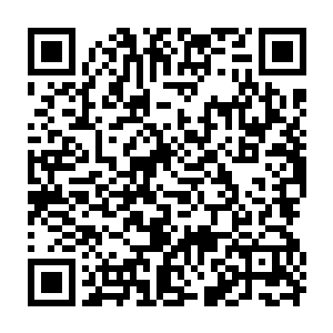 比如我用不少紫灵水晶果等圣果圣草将林青珊的灵体品质改造为高级圣灵体二维码生成