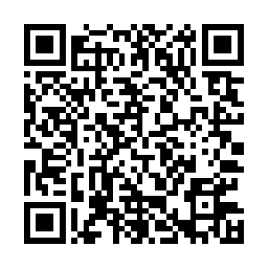 比如把自己在欧洲和美国的所有生意都交给兰尼特去负责二维码生成