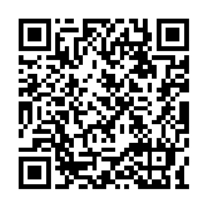 比如提取和培养提高白细胞数量的特殊物质之类二维码生成