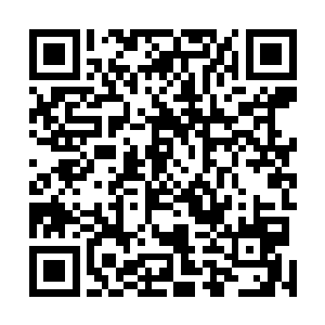 比如杀死您叔叔一家的双刀假面……我们的人手严重不足二维码生成