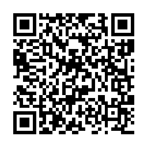 比如被创造出来的生物只能按照龙族设定好的发展走二维码生成