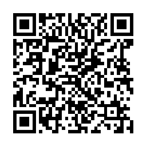 比如说是发现适合守护之神教派修炼体系的孤儿之类的责任二维码生成
