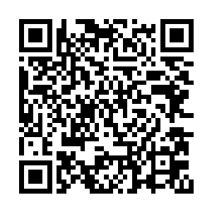 比如这个时候如果来一头仙兽王比较亲密的存在二维码生成