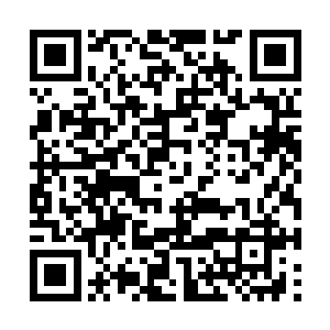 比寻常八变神王突破九变神王的瓶颈要坚固无数倍二维码生成