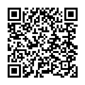 比旁边的炼天神鼎的造化气息简直不知道要浓郁了多少倍二维码生成