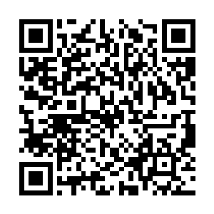 比杨开高大近乎一半的身躯犹如纸鸢一般高高飞起二维码生成