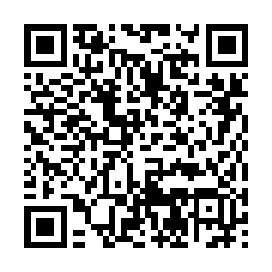 比牛小叶给她的倭刀围脖的边角料皮子要好很多倍二维码生成