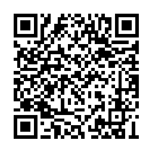 比聂离修炼进度更加惊人的是羽焰女神还有金蛋二维码生成