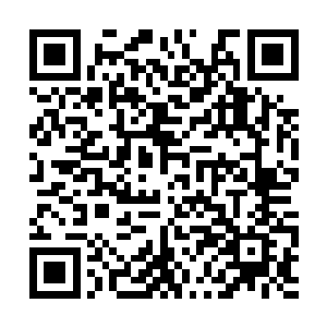 比袁九这种刚晋级皇境圆满的人都不知强大多少倍二维码生成