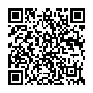 比赛其实从一开始荒古仙龙进场就已经出结果了二维码生成