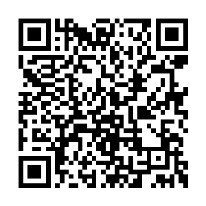 比赛到底该怎么打全靠个人自发性地意识和判断二维码生成