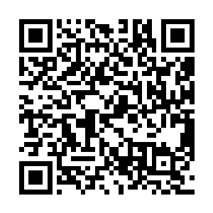 比起之前在魔域之中所看到的数百上千魔族战斗的场面二维码生成