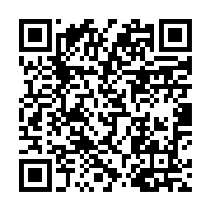 比起从小大半时间在徐家另一半在徐氏身边长大的叶璃二维码生成