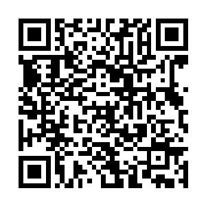 比起其余的几率动辄一两百人的伤亡率要强太多了二维码生成