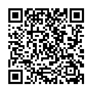 比起太夏最顶尖的几大机器制领域的大商团和大家族二维码生成