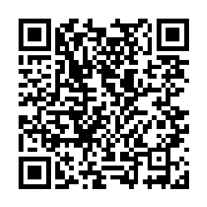 比起并不好战的墨少轩跟一直在从底部逆袭的代离二维码生成