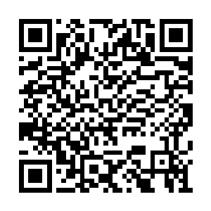 比起曦楚朝云闻人羽秦明还有颜苍冥和圆真等人二维码生成