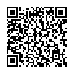 比起村子中箭术最强的阿花姐似乎都毫不逊色啊二维码生成