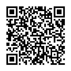 比起来王世子还是比较喜欢在山里每天挥斧头劈柴的日子二维码生成