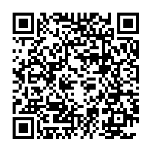 比起眼前这位只能跟布拉族王子打交道的韩国人不知道强势牛逼了多少二维码生成