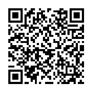 比起部落最强大的勇士加持了嗜血术也毫不逊色啊二维码生成