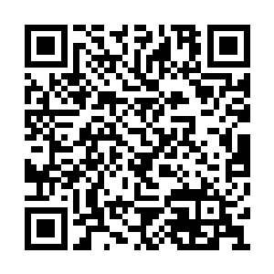 比这个七杀帝君要强大的多的多的敌人都面对过二维码生成