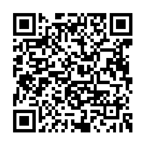 比这里任何一头大乘期妖兽都要更加的凶横可怕二维码生成