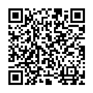 比那些靠书上记载和观察馆藏文物学习鉴别知识的专家更靠谱二维码生成