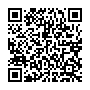 比那日在英亲王妃居住的幽兰苑里见到她的时候打扮得明艳一些二维码生成