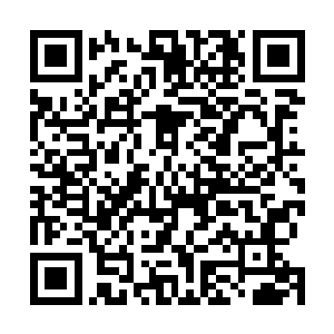 比那群因为地下恶劣的环境进化出来的黑暗视野强大多了二维码生成