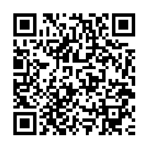 比靠着魔气灌体才有这份实力的尸魔和火魔于境界上略胜半筹二维码生成