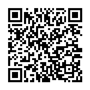 比高大的拉蒙还要高出大半个头的海森转头问他二维码生成